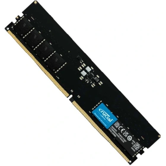 رم کامپیوتر کروشیال تک کاناله مدل CT8 فرکانس 4800 مگاهرتز DDR5 حافظه 8 گیگابایت