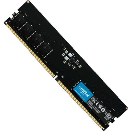رم کامپیوتر کروشیال تک کاناله مدل CT8 فرکانس 4800 مگاهرتز DDR5 حافظه 8 گیگابایت